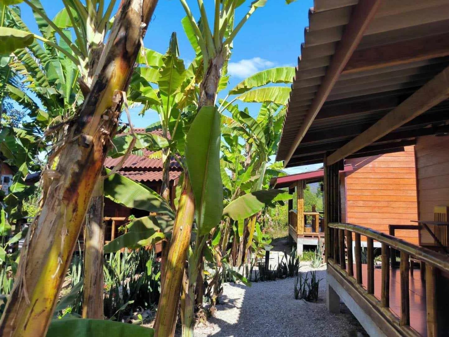 Nana Bungalows Ban Tan Dış mekan fotoğraf