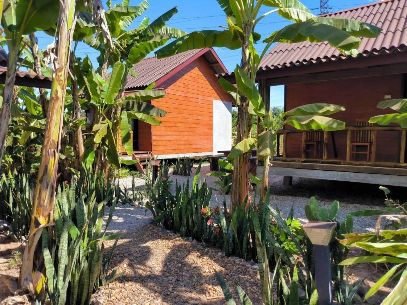 Nana Bungalows Ban Tan Oda fotoğraf