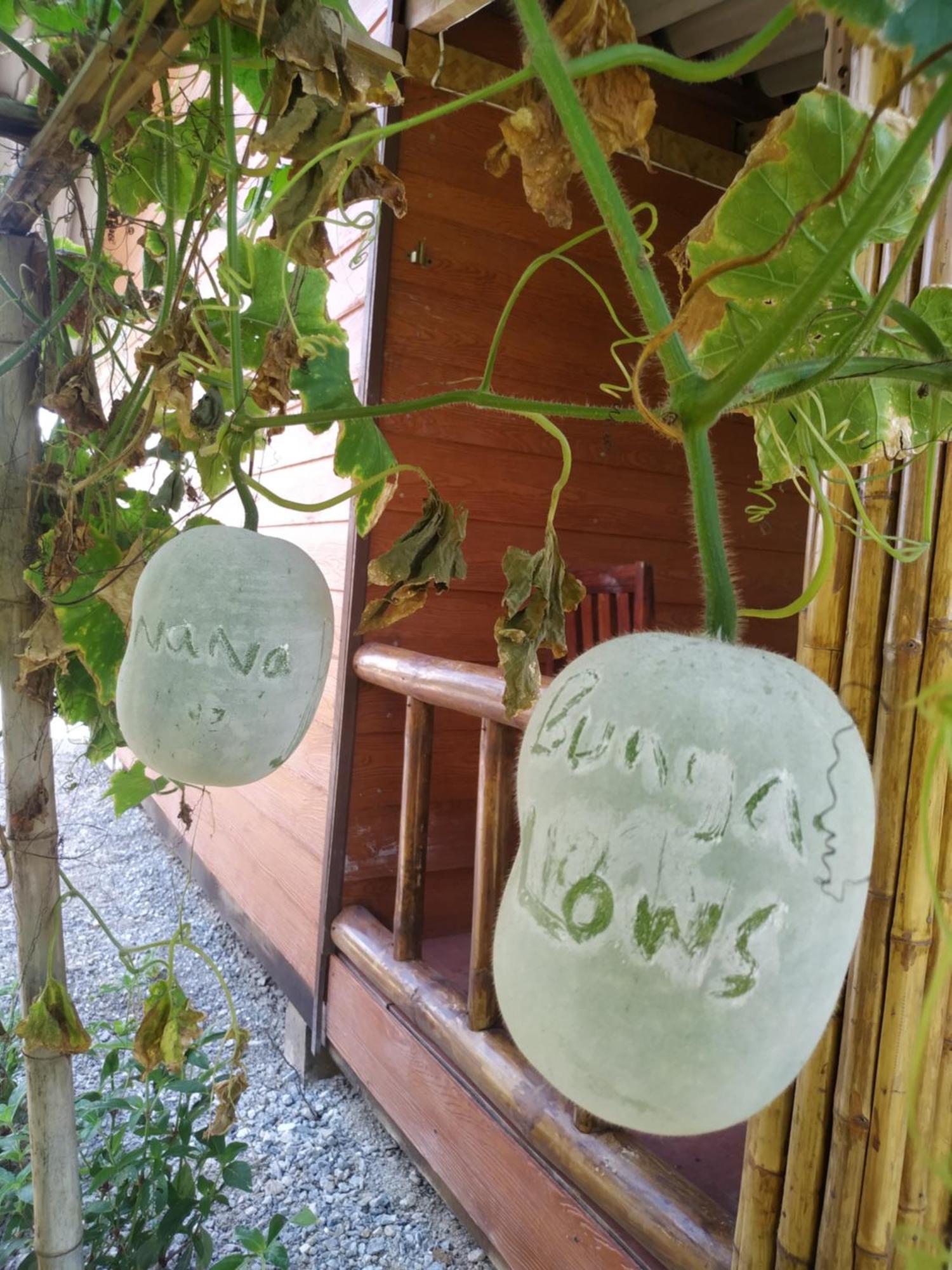 Nana Bungalows Ban Tan Oda fotoğraf