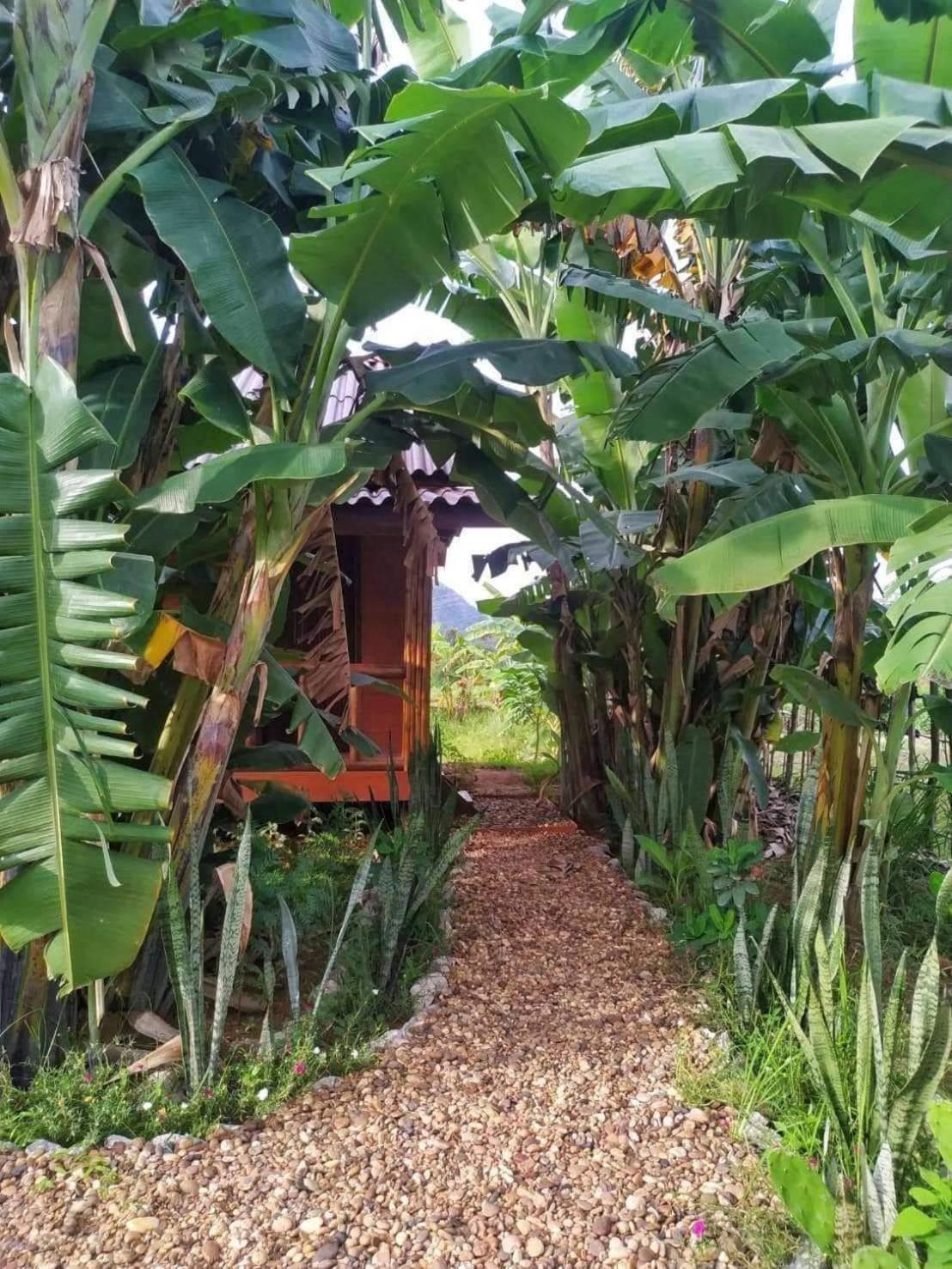 Nana Bungalows Ban Tan Oda fotoğraf